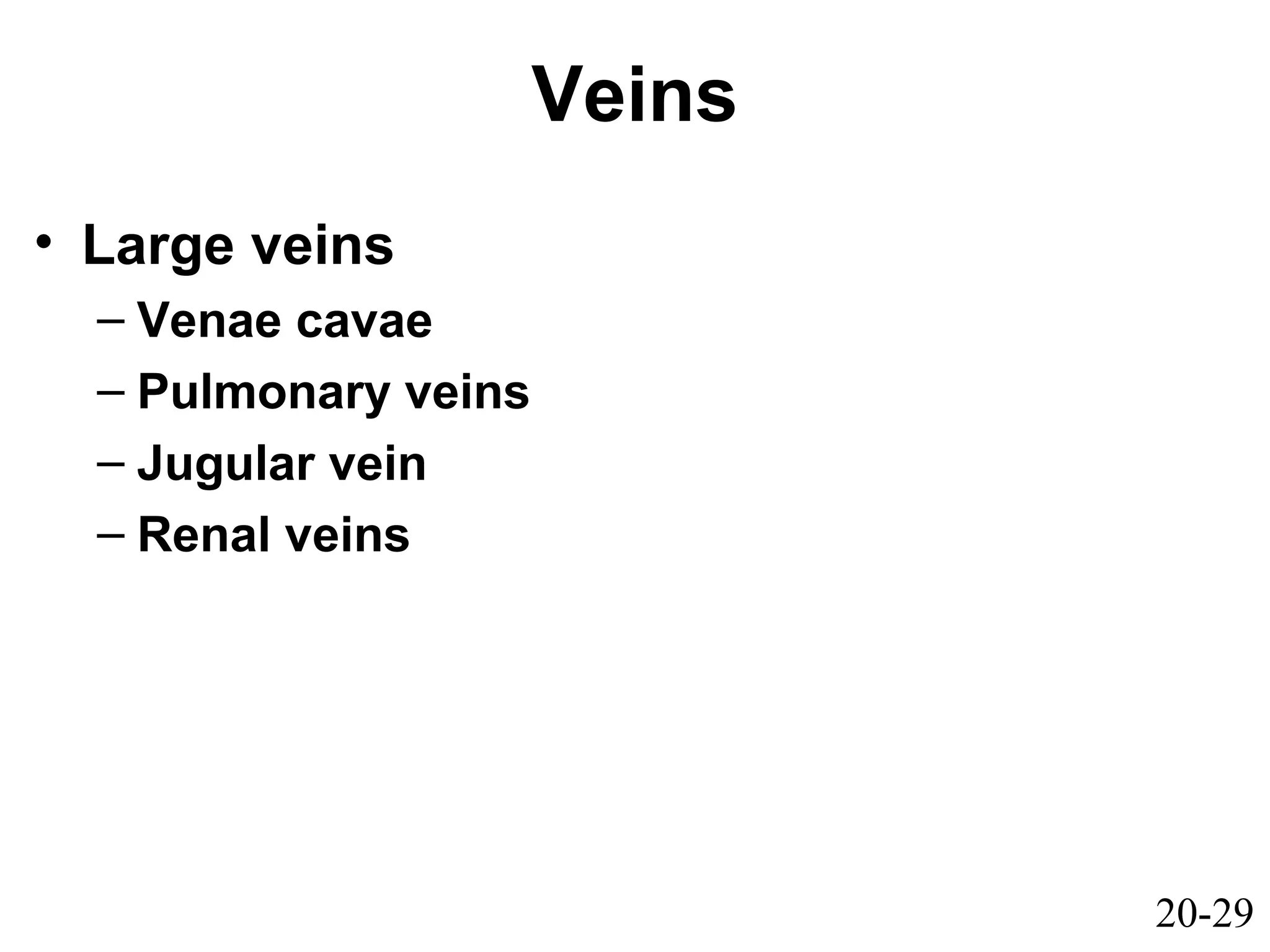 20-29
Veins
• Large veins
– Venae cavae
– Pulmonary veins
– Jugular vein
– Renal veins
 