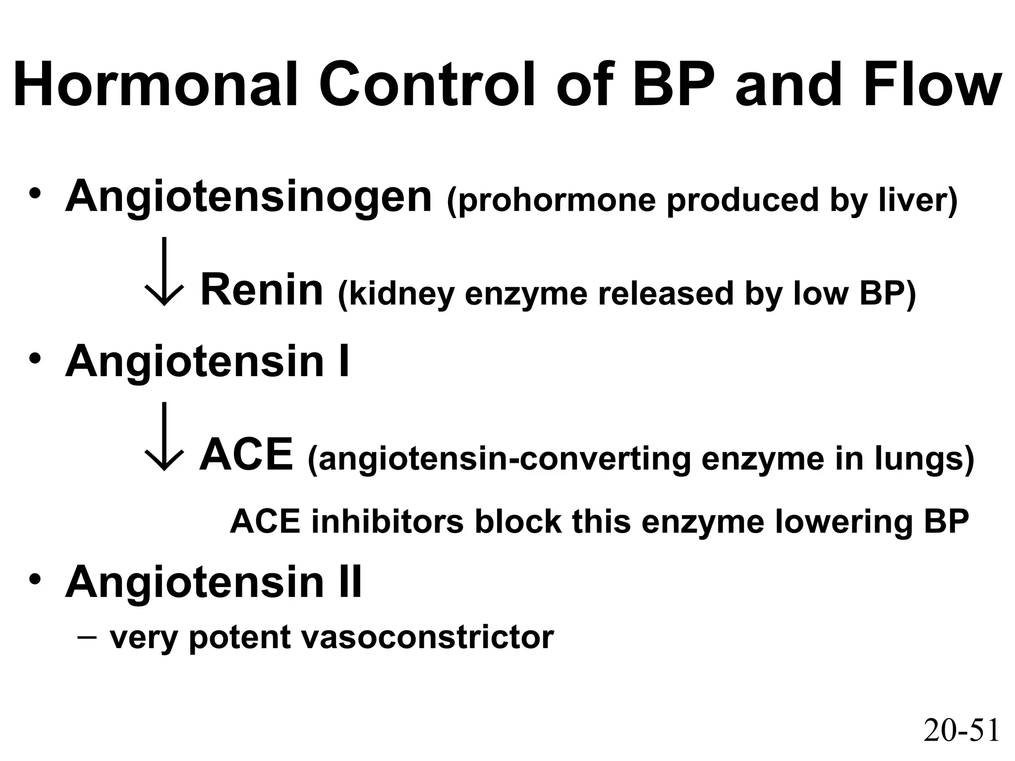 20-51
• Angiotensinogen (prohormone produced by liver)
↓ Renin (kidney enzyme released by low BP)
• Angiotensin I
↓ ACE (angiotensin-converting enzyme in lungs)
ACE inhibitors block this enzyme lowering BP
• Angiotensin II
– very potent vasoconstrictor
Hormonal Control of BP and Flow
 