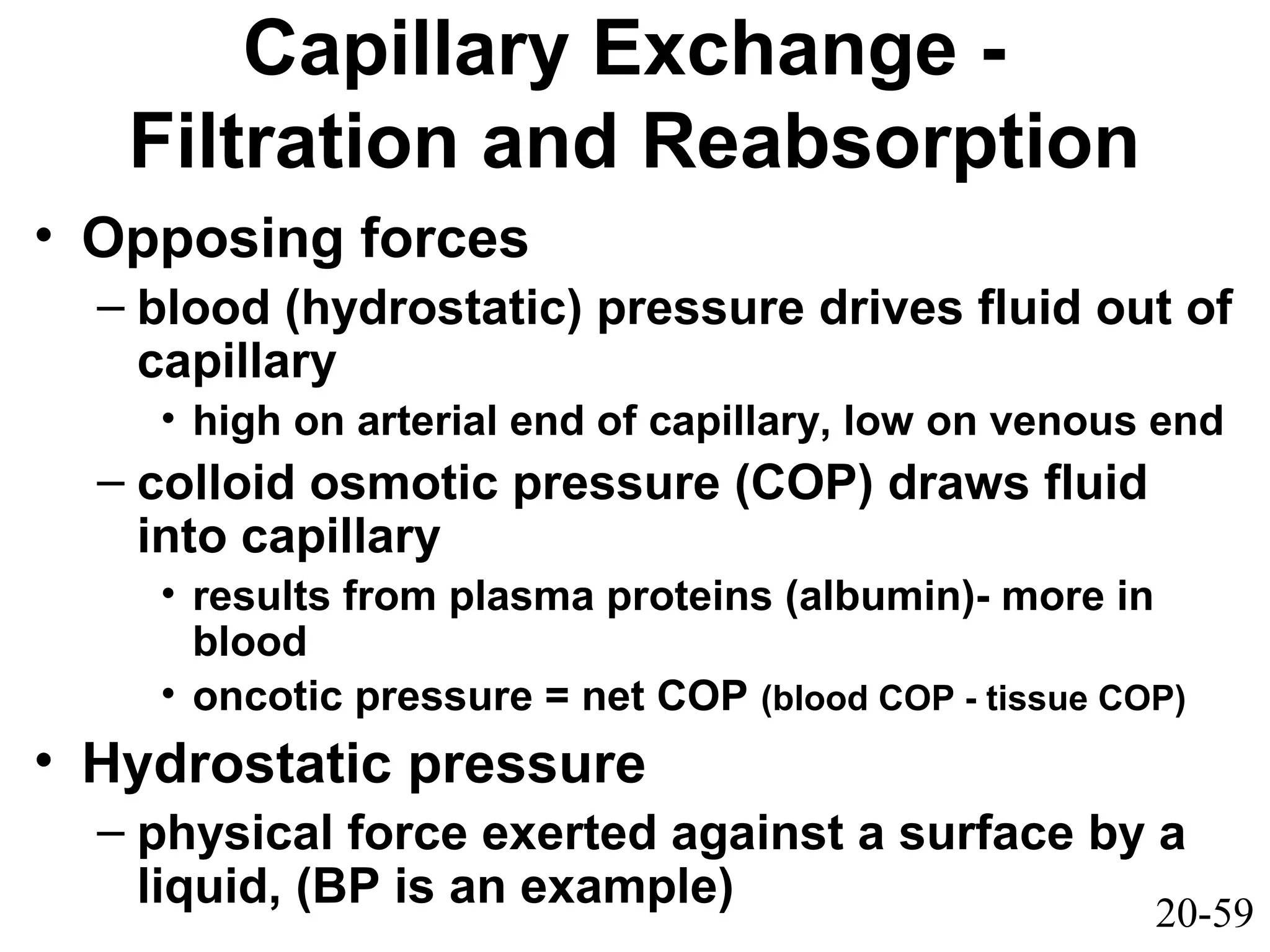 20-59
Capillary Exchange -
Filtration and Reabsorption
• Opposing forces
– blood (hydrostatic) pressure drives fluid out of
capillary
• high on arterial end of capillary, low on venous end
– colloid osmotic pressure (COP) draws fluid
into capillary
• results from plasma proteins (albumin)- more in
blood
• oncotic pressure = net COP (blood COP - tissue COP)
• Hydrostatic pressure
– physical force exerted against a surface by a
liquid, (BP is an example)
 
