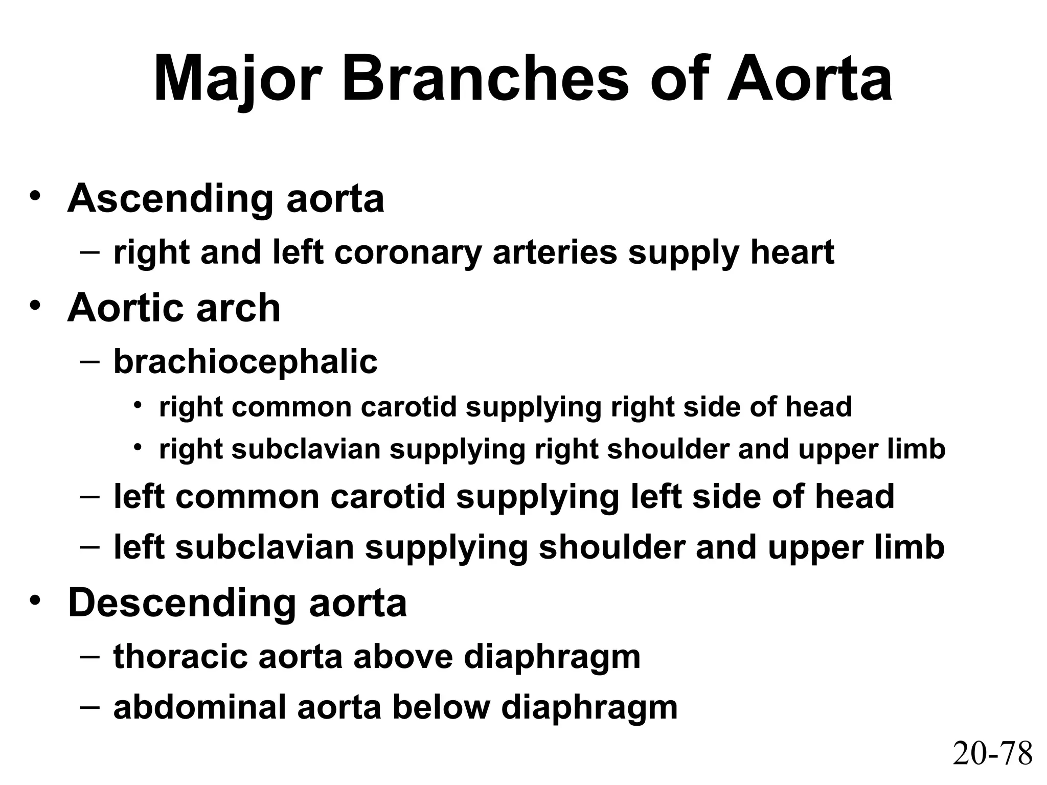 20-78
Major Branches of Aorta
• Ascending aorta
– right and left coronary arteries supply heart
• Aortic arch
– brachiocephalic
• right common carotid supplying right side of head
• right subclavian supplying right shoulder and upper limb
– left common carotid supplying left side of head
– left subclavian supplying shoulder and upper limb
• Descending aorta
– thoracic aorta above diaphragm
– abdominal aorta below diaphragm
 