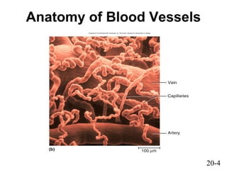 Chap20 powerpoint l | PPT
