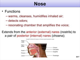 Chap22 powerpoint | PPT