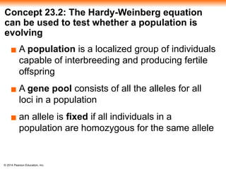 © 2014 Pearson Education, Inc.
Concept 23.2: The Hardy-Weinberg equation
can be used to test whether a population is
evolving
▪ A population is a localized group of individuals
capable of interbreeding and producing fertile
offspring
▪ A gene pool consists of all the alleles for all
loci in a population
▪ an allele is fixed if all individuals in a
population are homozygous for the same allele
 