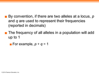 © 2014 Pearson Education, Inc.
▪ By convention, if there are two alleles at a locus, p
and q are used to represent their frequencies
(reported in decimals)
▪ The frequency of all alleles in a population will add
up to 1
▪ For example, p + q = 1
 