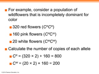© 2014 Pearson Education, Inc.
▪ For example, consider a population of
wildflowers that is incompletely dominant for
color
▪320 red flowers (CR
CR
)
▪160 pink flowers (CR
CW
)
▪20 white flowers (CW
CW
)
▪ Calculate the number of copies of each allele
▪CR
= (320 × 2) + 160 = 800
▪CW
= (20 × 2) + 160 = 200
 