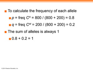 © 2014 Pearson Education, Inc.
▪ To calculate the frequency of each allele
▪p = freq CR
= 800 / (800 + 200) = 0.8
▪q = freq CW
= 200 / (800 + 200) = 0.2
▪ The sum of alleles is always 1
▪0.8 + 0.2 = 1
 