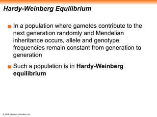 © 2014 Pearson Education, Inc.
Hardy-Weinberg Equilibrium
▪ In a population where gametes contribute to the
next generation randomly and Mendelian
inheritance occurs, allele and genotype
frequencies remain constant from generation to
generation
▪ Such a population is in Hardy-Weinberg
equilibrium
 
