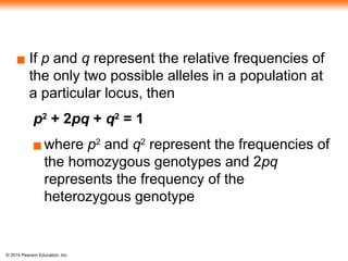 © 2014 Pearson Education, Inc.
▪ If p and q represent the relative frequencies of
the only two possible alleles in a population at
a particular locus, then
p2
+ 2pq + q2
= 1
▪where p2
and q2
represent the frequencies of
the homozygous genotypes and 2pq
represents the frequency of the
heterozygous genotype
 