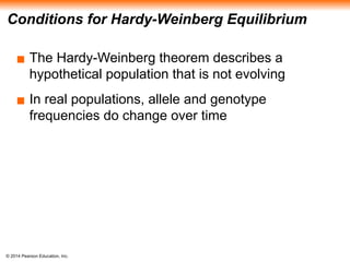© 2014 Pearson Education, Inc.
Conditions for Hardy-Weinberg Equilibrium
▪ The Hardy-Weinberg theorem describes a
hypothetical population that is not evolving
▪ In real populations, allele and genotype
frequencies do change over time
 