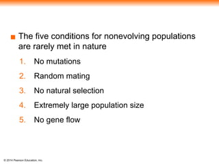 © 2014 Pearson Education, Inc.
▪ The five conditions for nonevolving populations
are rarely met in nature
1. No mutations
2. Random mating
3. No natural selection
4. Extremely large population size
5. No gene flow
 