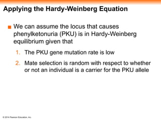 © 2014 Pearson Education, Inc.
Applying the Hardy-Weinberg Equation
▪ We can assume the locus that causes
phenylketonuria (PKU) is in Hardy-Weinberg
equilibrium given that
1. The PKU gene mutation rate is low
2. Mate selection is random with respect to whether
or not an individual is a carrier for the PKU allele
 