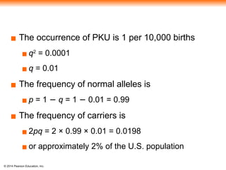 © 2014 Pearson Education, Inc.
▪ The occurrence of PKU is 1 per 10,000 births
▪ q2
= 0.0001
▪ q = 0.01
▪ The frequency of normal alleles is
▪ p = 1 − q = 1 − 0.01 = 0.99
▪ The frequency of carriers is
▪ 2pq = 2 × 0.99 × 0.01 = 0.0198
▪ or approximately 2% of the U.S. population
 