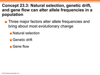 © 2014 Pearson Education, Inc.
Concept 23.3: Natural selection, genetic drift,
and gene flow can alter allele frequencies in a
population
▪ Three major factors alter allele frequencies and
bring about most evolutionary change
▪ Natural selection
▪ Genetic drift
▪ Gene flow
 