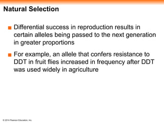 © 2014 Pearson Education, Inc.
Natural Selection
▪ Differential success in reproduction results in
certain alleles being passed to the next generation
in greater proportions
▪ For example, an allele that confers resistance to
DDT in fruit flies increased in frequency after DDT
was used widely in agriculture
 