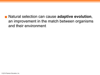 © 2014 Pearson Education, Inc.
▪ Natural selection can cause adaptive evolution,
an improvement in the match between organisms
and their environment
 