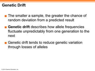 © 2014 Pearson Education, Inc.
Genetic Drift
▪ The smaller a sample, the greater the chance of
random deviation from a predicted result
▪ Genetic drift describes how allele frequencies
fluctuate unpredictably from one generation to the
next
▪ Genetic drift tends to reduce genetic variation
through losses of alleles
 