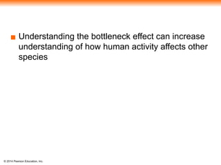 © 2014 Pearson Education, Inc.
▪ Understanding the bottleneck effect can increase
understanding of how human activity affects other
species
 