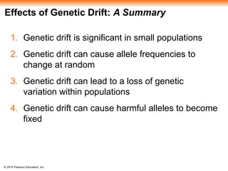 © 2014 Pearson Education, Inc.
Effects of Genetic Drift: A Summary
1. Genetic drift is significant in small populations
2. Genetic drift can cause allele frequencies to
change at random
3. Genetic drift can lead to a loss of genetic
variation within populations
4. Genetic drift can cause harmful alleles to become
fixed
 