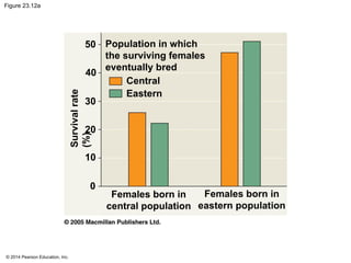 © 2014 Pearson Education, Inc.
Figure 23.12a
Population in which
the surviving females
eventually bred
Central
Eastern
Survival
rate
(%)
Females born in
central population
50
40
30
20
10
0
Females born in
eastern population
 