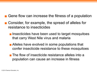 © 2014 Pearson Education, Inc.
▪ Gene flow can increase the fitness of a population
▪ Consider, for example, the spread of alleles for
resistance to insecticides
▪ Insecticides have been used to target mosquitoes
that carry West Nile virus and malaria
▪ Alleles have evolved in some populations that
confer insecticide resistance to these mosquitoes
▪ The flow of insecticide resistance alleles into a
population can cause an increase in fitness
 