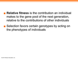 © 2014 Pearson Education, Inc.
▪ Relative fitness is the contribution an individual
makes to the gene pool of the next generation,
relative to the contributions of other individuals
▪ Selection favors certain genotypes by acting on
the phenotypes of individuals
 