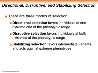 © 2014 Pearson Education, Inc.
Directional, Disruptive, and Stabilizing Selection
▪ There are three modes of selection
▪ Directional selection favors individuals at one
extreme end of the phenotypic range
▪ Disruptive selection favors individuals at both
extremes of the phenotypic range
▪ Stabilizing selection favors intermediate variants
and acts against extreme phenotypes
 