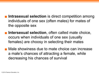 © 2014 Pearson Education, Inc.
▪ Intrasexual selection is direct competition among
individuals of one sex (often males) for mates of
the opposite sex
▪ Intersexual selection, often called mate choice,
occurs when individuals of one sex (usually
females) are choosy in selecting their mates
▪ Male showiness due to mate choice can increase
a male’s chances of attracting a female, while
decreasing his chances of survival
 