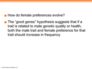 © 2014 Pearson Education, Inc.
▪ How do female preferences evolve?
▪ The “good genes” hypothesis suggests that if a
trait is related to male genetic quality or health,
both the male trait and female preference for that
trait should increase in frequency
 