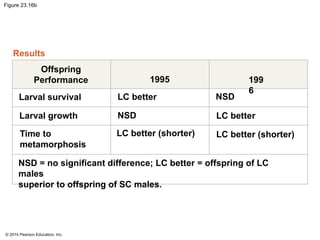 © 2014 Pearson Education, Inc.
Figure 23.16b
Results
Offspring
Performance 1995 199
6
Larval survival
Larval growth
Time to
metamorphosis
LC better
NSD
LC better (shorter)
NSD
LC better
LC better (shorter)
NSD = no significant difference; LC better = offspring of LC
males
superior to offspring of SC males.
 