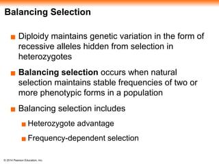 © 2014 Pearson Education, Inc.
Balancing Selection
▪ Diploidy maintains genetic variation in the form of
recessive alleles hidden from selection in
heterozygotes
▪ Balancing selection occurs when natural
selection maintains stable frequencies of two or
more phenotypic forms in a population
▪ Balancing selection includes
▪ Heterozygote advantage
▪ Frequency-dependent selection
 
