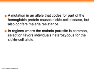 © 2014 Pearson Education, Inc.
▪ A mutation in an allele that codes for part of the
hemoglobin protein causes sickle-cell disease, but
also confers malaria resistance
▪ In regions where the malaria parasite is common,
selection favors individuals heterozygous for the
sickle-cell allele
 