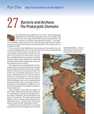 Part Five •                   THE EVOLUTION OF DIVERSITY




27                   Bacteria and Archaea:
                     The Prokaryotic Domains
                The ancient Phoenicians called it the “river of fire.” Today, Spanish astro-
                biologist Ricardo Amils Pibernat calls Spain’s Río Tinto a possible model
                for the scene of the origin of the life that may have existed on Mars. The
                river wends its way through a huge deposit of iron pyrite—“fool’s gold,”
or iron disulfide. Prokaryotes in the river and in the damp, acidic soil from which it
arises convert the pyrite into sulfuric acid and dissolved iron. The iron gives the river
its brilliant red color.
    Over a period of at least 300,000 years, these prokaryotes have produced an envi-          Earth or Ancient Mars? Spain’s Río
                                                                                               Tinto owes its rich red color—and its
ronment seemingly hostile to life. The Río Tinto has a pH of 2 and exceptionally high          extreme acidity—to the action of
concentrations of heavy metals, especially iron. The                                           prokaryotes on iron pyrite-rich soil.
concentrations of oxygen in the river and in its source
soil are extremely low. It is that soil that Amils be-
lieves resembles the kind of environment in which life
could have begun on Mars. Whatever the truth of that
speculation, the Río Tinto represents one of the most
unusual habitats for life on Earth.
    The organisms most commonly found in such ex-
tremely acidic environments belong to the two major
groups of prokaryotes: Bacteria and Archaea. The bac-
teria live in almost every environment on Earth. The
archaea are a superficially similar group of micro-
scopic, unicellular prokaryotes. However, both the
biochemistry and the genetics of bacteria differ in
numerous ways from those of archaea. Not until the
1970s did biologists discover how radically different
bacteria and archaea really are. And only with the se-
quencing of an archaeal genome in 1996 did we real-
ize just how extensively archaea differ from both bac-
teria and eukaryotes.
    Many biologists acknowledge the antiquity of
these clades and the importance of their differences
by recognizing three domains of living things: Bacte-
ria, Archaea, and Eukarya. The domain Bacteria com-
prises the “true bacteria.” The domain Archaea (Greek
archaios, “ancient”) comprises other prokaryotes once
called (inaccurately) “ancient bacteria.” The domain
Eukarya includes all other living things on Earth.
    Dividing the living world in this way, with two
prokaryotic domains and a single domain for all the
 