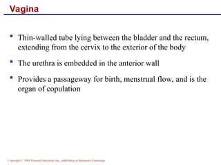 Chap 27 The Reproductive Systems Of Male And Female And It s Uses And 
