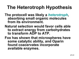 The Heterotroph Hypothesis The protocell was likely a  heterotroph , absorbing small organic molecules from its environment. Natural selection would favor cells able to extract energy from carbohydrates to transform ADP to ATP. Fox has shown that microspheres have some catalytic ability, and Oparin found coacervates incorporate available enzymes. 27- 