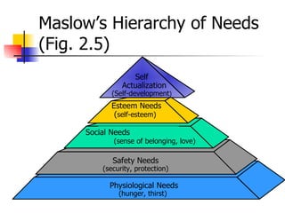 Maslow’s Hierarchy of Needs  (Fig. 2.5) Physiological Needs (hunger, thirst)  Safety Needs (security, protection) Social Needs  (sense of belonging, love) Esteem Needs  ( self-esteem) Self Actualization (Self-development ) 