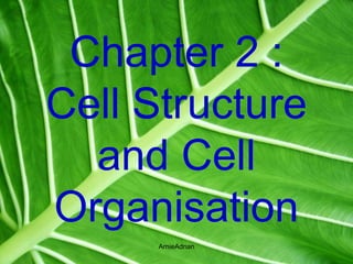 Chap 2 cell structure and cell organisation | PPTX