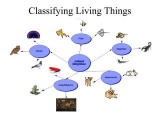 Classifying Living Things

 