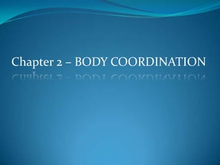 Chapter 2 – BODY COORDINATION 