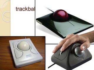 trackball
 