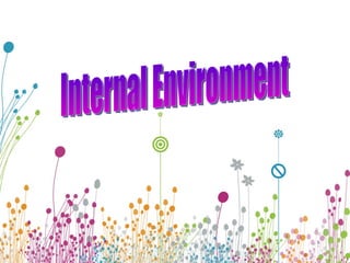 Internal Environment 