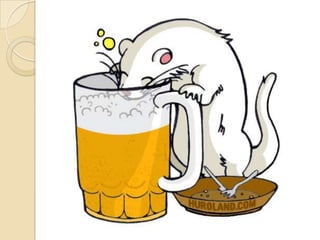 ENGLISH 2 Chap2 lesson 22