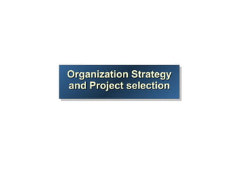 Organization Strategy and Project selection 