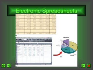 Electronic Spreadsheets

 