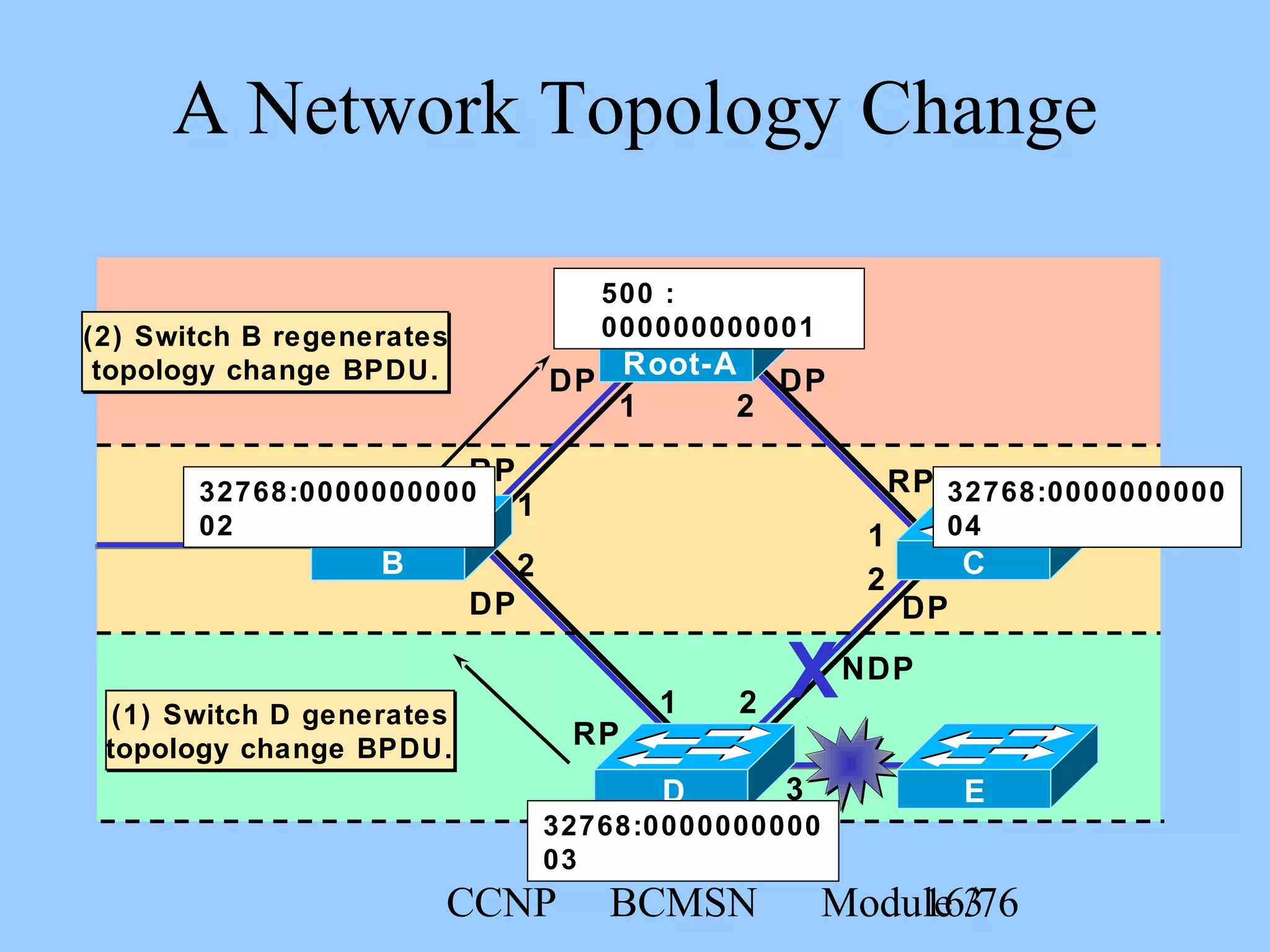 CCNP BCMSN Module 316/76
1
2
1
RP
DP
DP
RP
DP
DP
2
RP
1
2
21
3
(1) Switch D generates
topology change BPDU.
(2) Switch B regenerates
topology change BPDU.
A Network Topology Change
ED
32768:0000000000
04
C
Root-A
500 :
000000000001
32768:0000000000
02
B
32768:0000000000
03
NDP
X
 