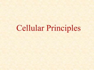 Cellular Principles
 