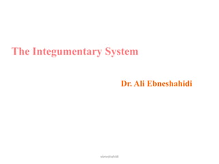 The Integumentary System
Dr. Ali Ebneshahidi
ebneshahidi
 
