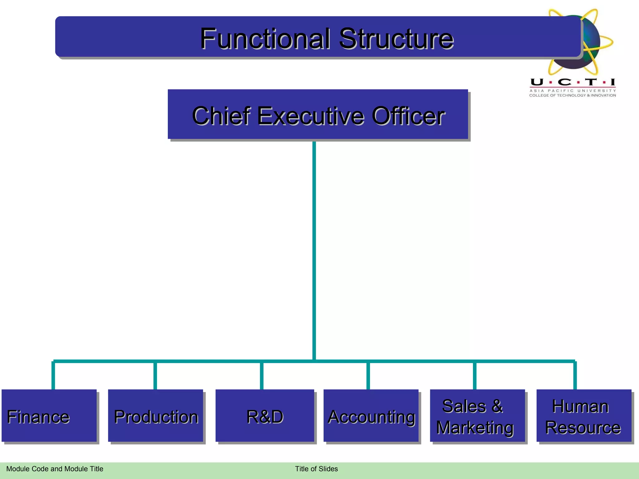 Production Finance R&D Accounting Sales &  Marketing Human  Resource Chief Executive Officer Functional Structure 