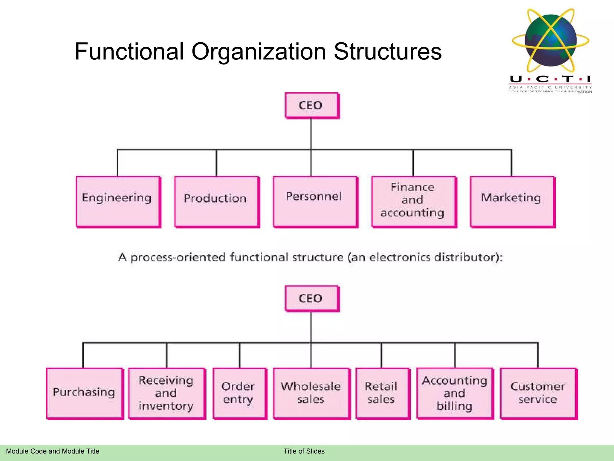 Functional Organization Structures 