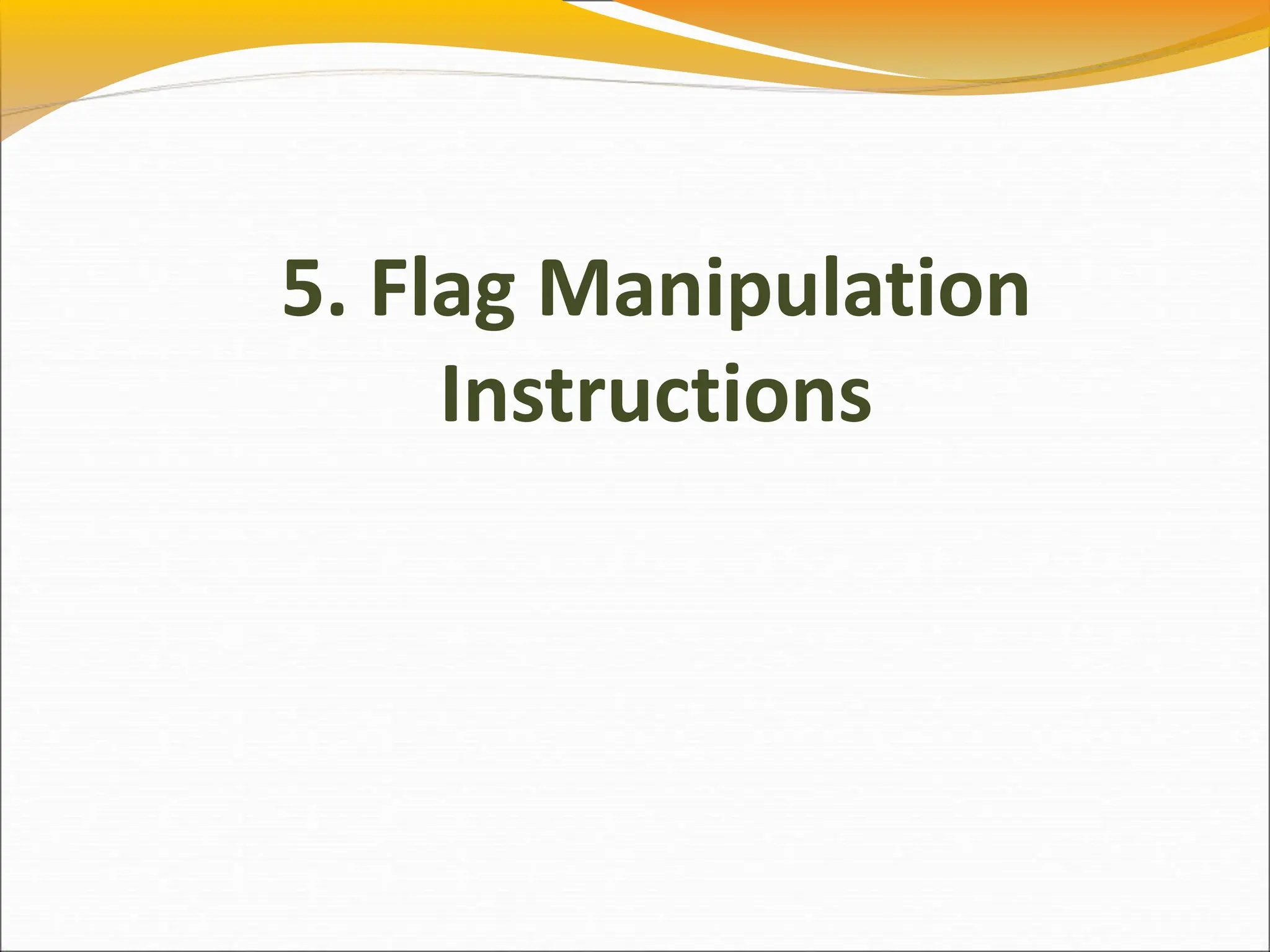 5. Flag Manipulation
Instructions
 