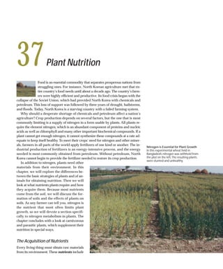 37                   Plant Nutrition
               Food is an essential commodity that separates prosperous nations from
               struggling ones. For instance, North Korean agriculture met that en-
               tire country’s food needs until about a decade ago. The country’s farm-
               ers were highly efficient and productive. Its food crisis began with the
collapse of the Soviet Union, which had provided North Korea with chemicals and
petroleum. This loss of support was followed by three years of drought, hailstorms,
and floods. Today, North Korea is a starving country with a failed farming system.
   Why should a desperate shortage of chemicals and petroleum affect a nation’s
agriculture? Crop production depends on several factors, but the one that is most
commonly limiting is a supply of nitrogen in a form usable by plants. All plants re-
quire the element nitrogen, which is an abundant component of proteins and nucleic
acids as well as chlorophyll and many other important biochemical compounds. If a
plant cannot get enough nitrogen, it cannot synthesize these compounds at a rate ad-
equate to keep itself healthy. To meet their crops’ need for nitrogen and other miner-
als, farmers in all parts of the world apply fertilizers of one kind or another. The in-
                                                                                           Nitrogen is Essential for Plant Growth
dustrial production of fertilizers is an energy-intensive process, and the energy          In this experimental wheat field in
needed is most commonly obtained from petroleum. Without petroleum, North                  Bangladesh, nitrogen was withheld from
Korea cannot begin to provide the fertilizer needed to restore its crop production.        the plot on the left. The resulting plants
                                                                                           were stunted and unhealthy.
   In addition to nitrogen, plants need other
materials from their environment. In this
chapter, we will explore the differences be-
tween the basic strategies of plants and of an-
imals for obtaining nutrition. Then we will
look at what nutrients plants require and how
they acquire them. Because most nutrients
come from the soil, we will discuss the for-
mation of soils and the effects of plants on
soils. As any farmer can tell you, nitrogen is
the nutrient that most often limits plant
growth, so we will devote a section specifi-
cally to nitrogen metabolism in plants. The
chapter concludes with a look at carnivorous
and parasitic plants, which supplement their
nutrition in special ways.


The Acquisition of Nutrients
Every living thing must obtain raw materials
from its environment. These nutrients include
 